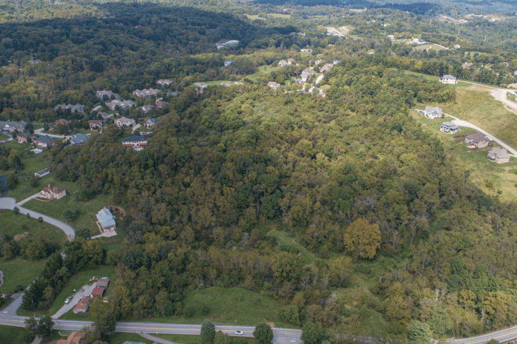 aerial view of Villa Ciano
