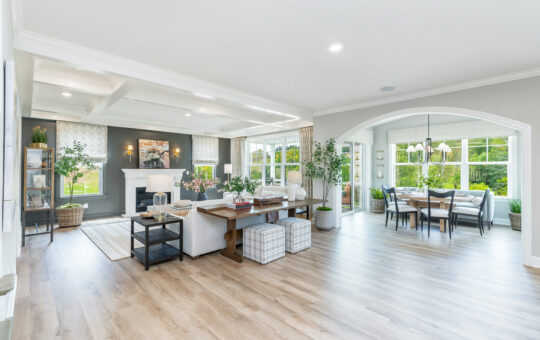 Spacious, bright open-concept living and dining area with light wood floors, large windows, cozy seating, a fireplace, indoor plants, and a dining table, all overlooking a green outdoor view.