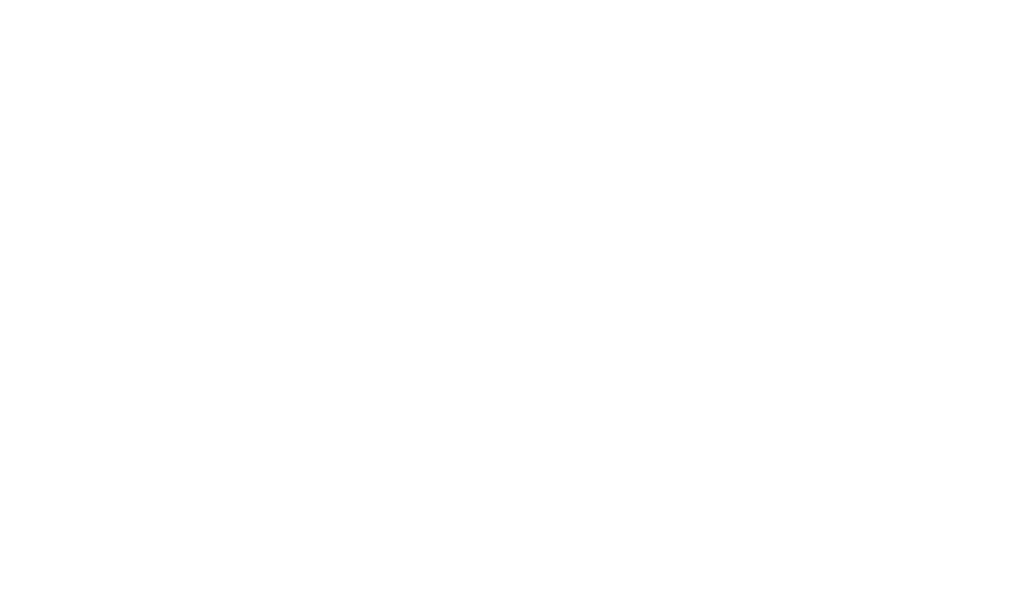 white_brand-foxlane-logo