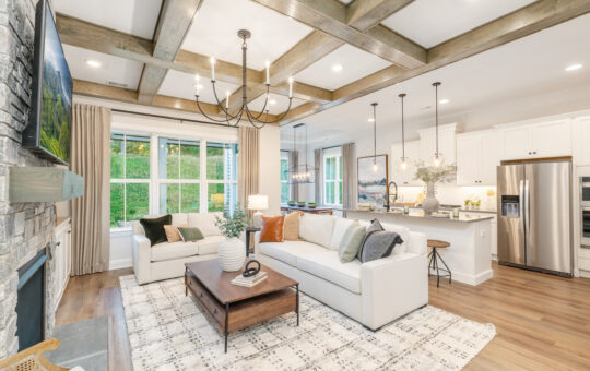 Bright, modern living room with white sofas, a wooden coffee table, and a large rug. Open to a stylish kitchen with white cabinets, stainless steel appliances, and pendant lights. Large windows bring in natural light.
