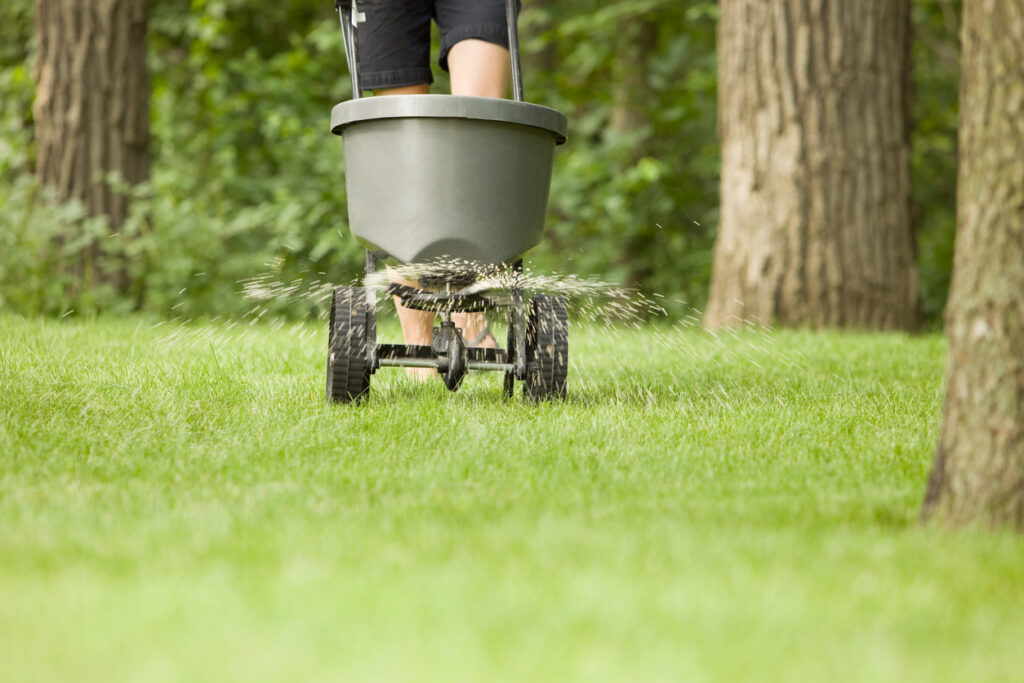 fertilizing the yard