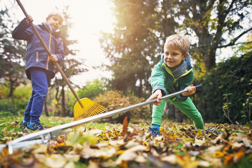 little boys raking autumn leaves