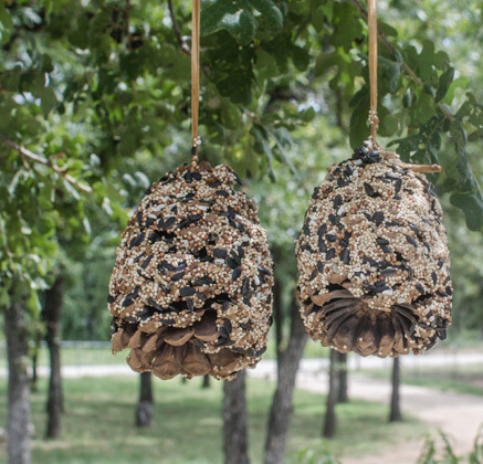 pine cone bird feeder craft