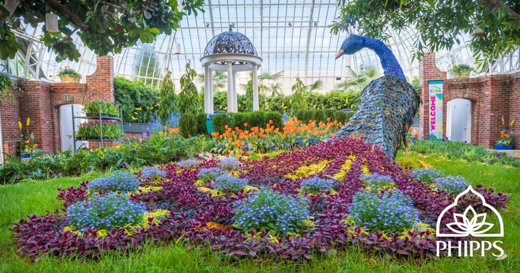 Phipps conservatory and botanical gardens