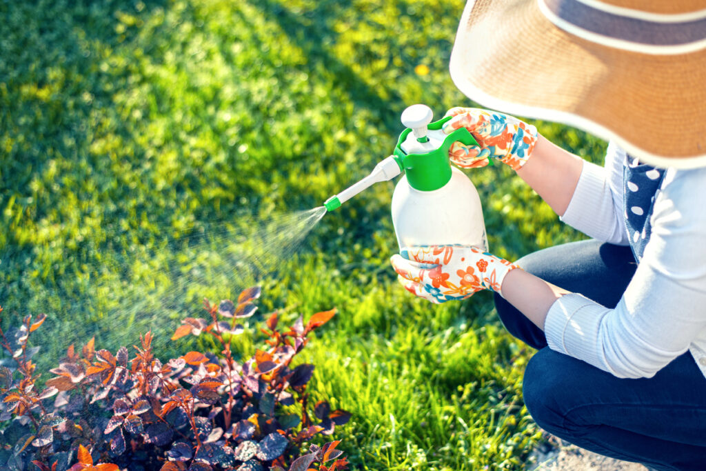 Woman spraying plants in backyard