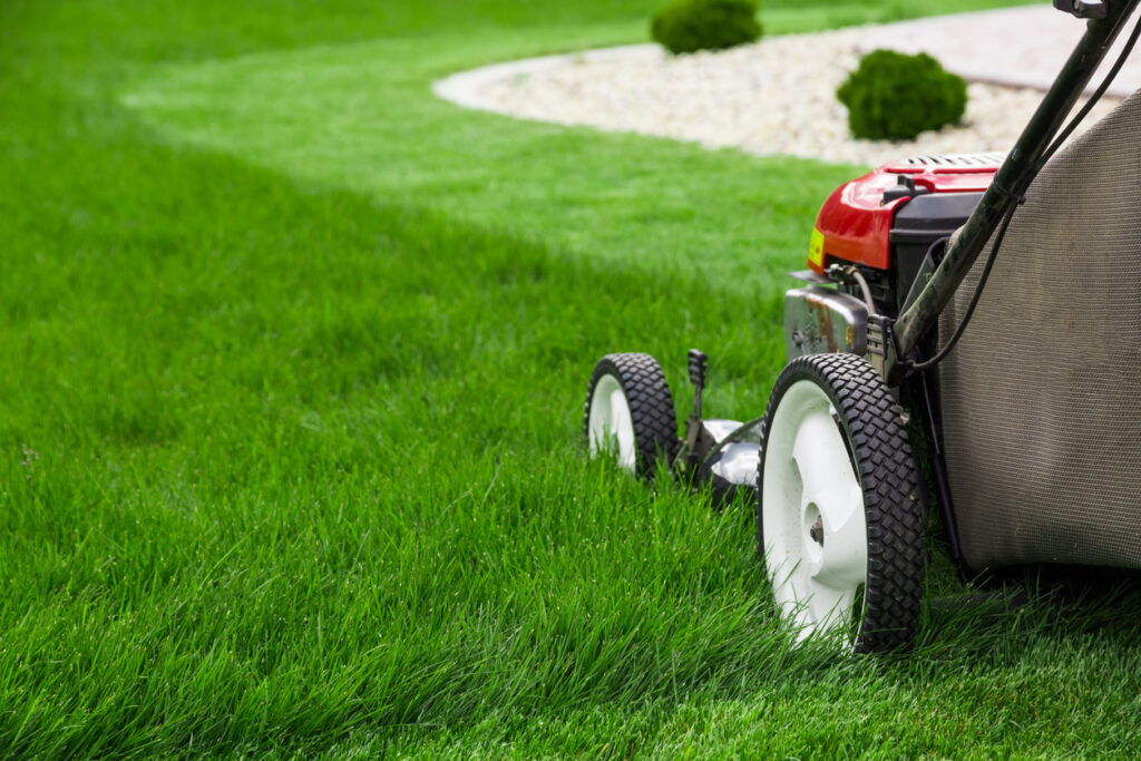 mowing lawn with a lawn mower