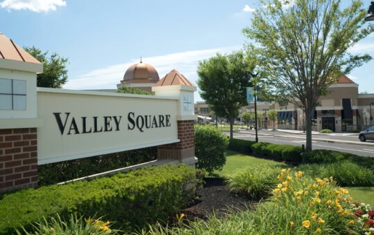 A large sign reading Valley Square stands among green bushes and yellow flowers, with a tree, shops, and a dome-shaped building visible in the background on a sunny day.