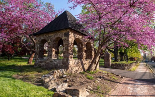 A small stone pavilion with arches stands surrounded by blooming pink trees and green grass beside a brick sidewalk on a sunny day.