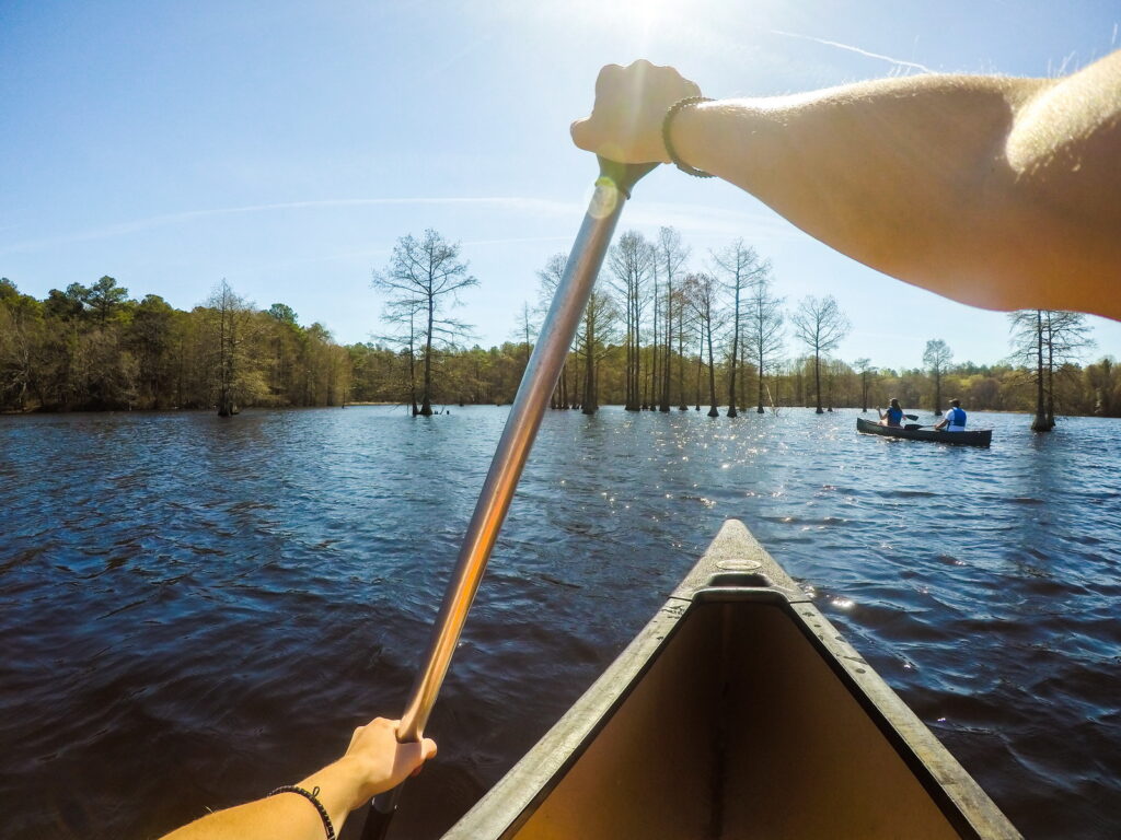 canoeing at trap pond state park