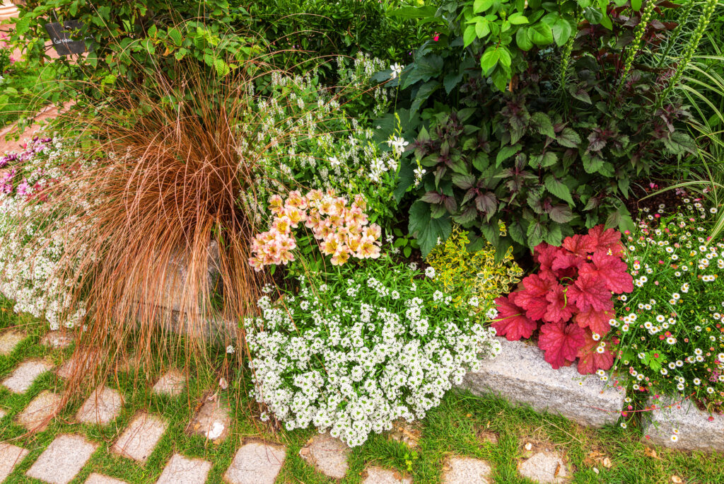 perennial plants in a garden