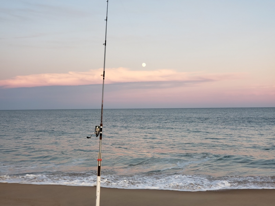 fenwick island state park fishing