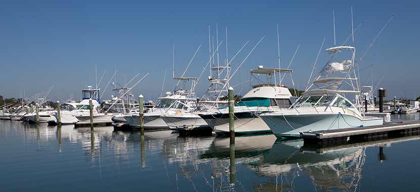 boats at indian river marina