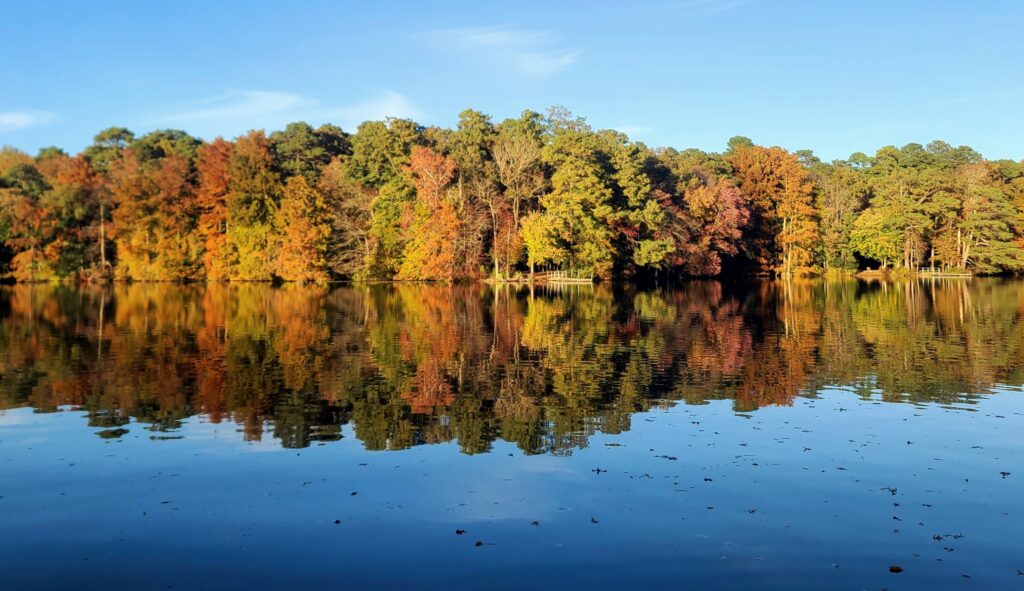 trap pond state park