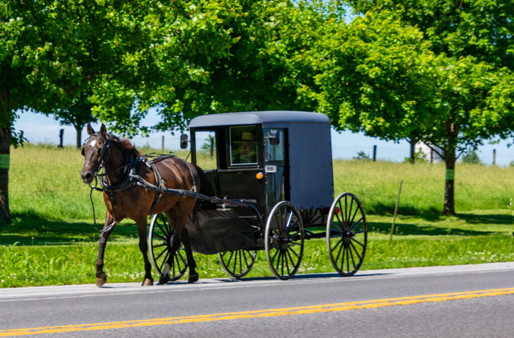 horse drawn buggy in lancaster, pa