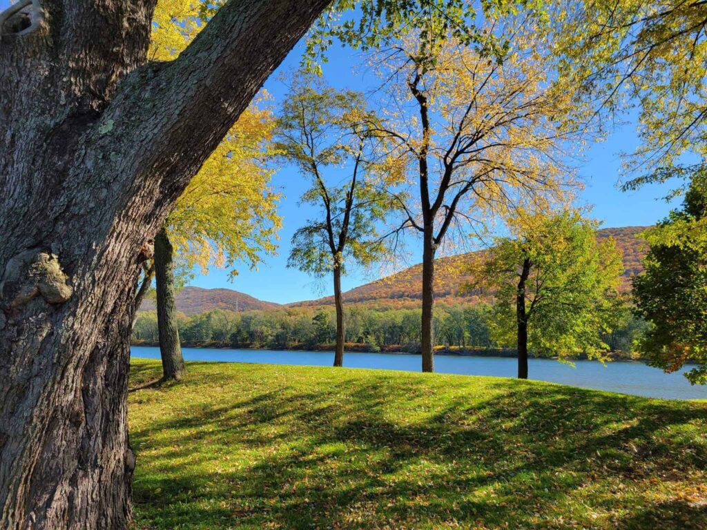 summer at Susquehanna State Park