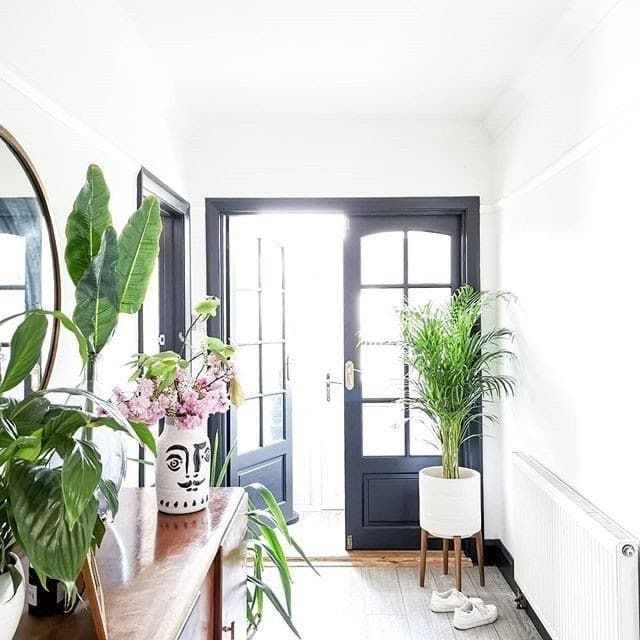 home's front entryway with many plants