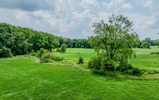 Aerial view of a lush green field bordered by trees, with a winding road cutting through the landscape under a partly cloudy blue sky.