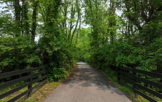 A paved path runs through a lush, green forest, bordered by black wooden fences on both sides, with dense trees and foliage surrounding the trail.