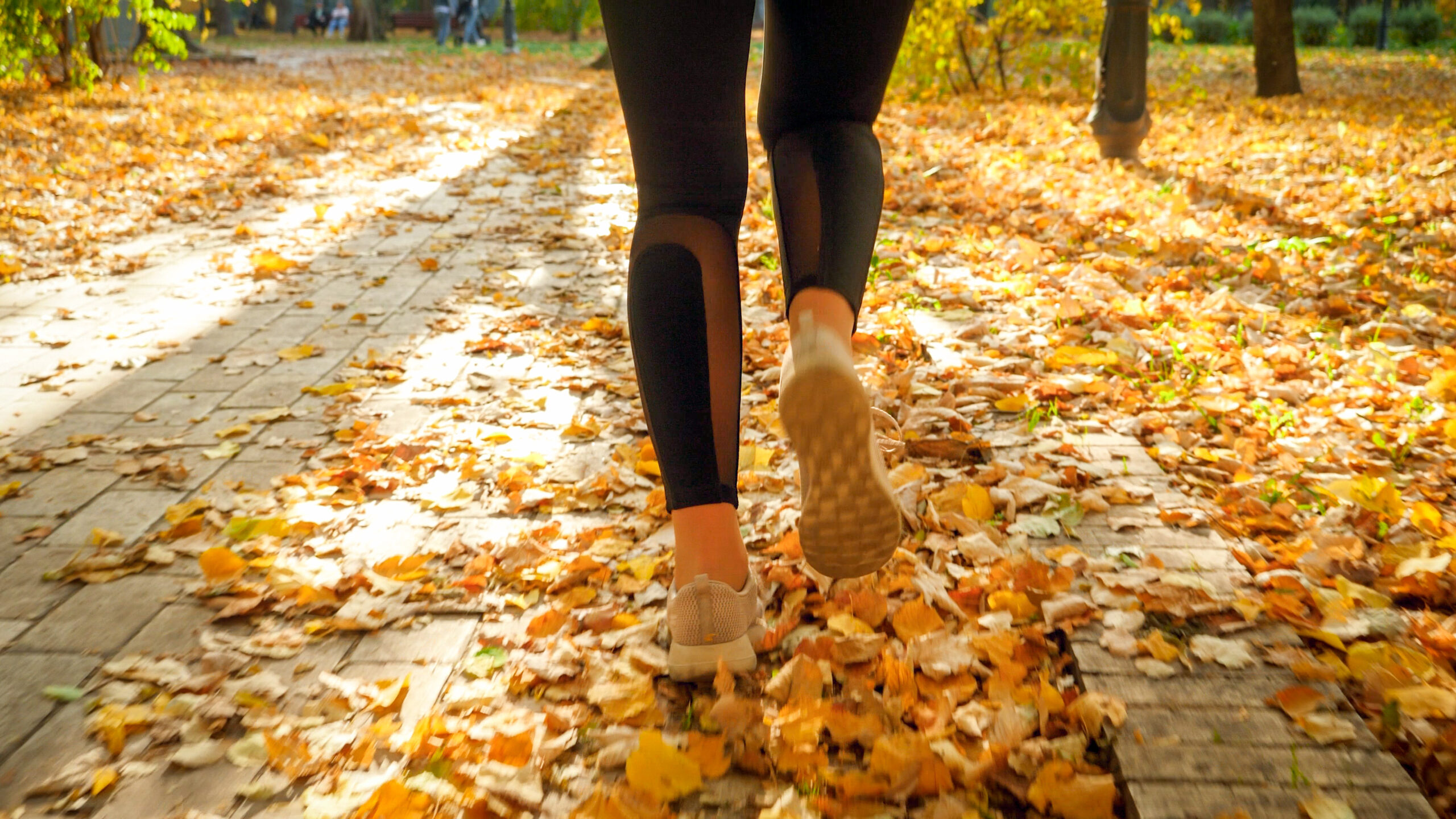 Closeup rear view photo of young woman in sportswear running and training in autumn park.