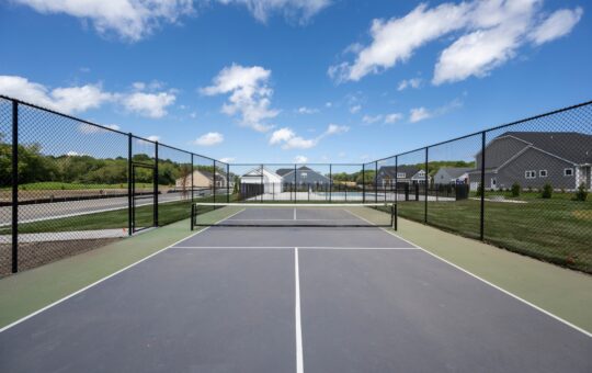 A pickleball court with a net, surrounded by a black chain-link fence, sits in a residential neighborhood under a blue sky with white clouds. Houses and green lawns are visible in the background.
