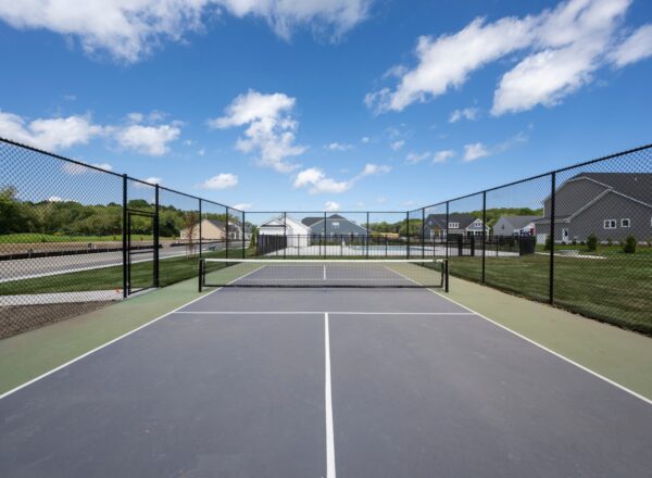 A pickleball court with a net, surrounded by a black chain-link fence, sits in a residential neighborhood under a blue sky with white clouds. Houses and green lawns are visible in the background.