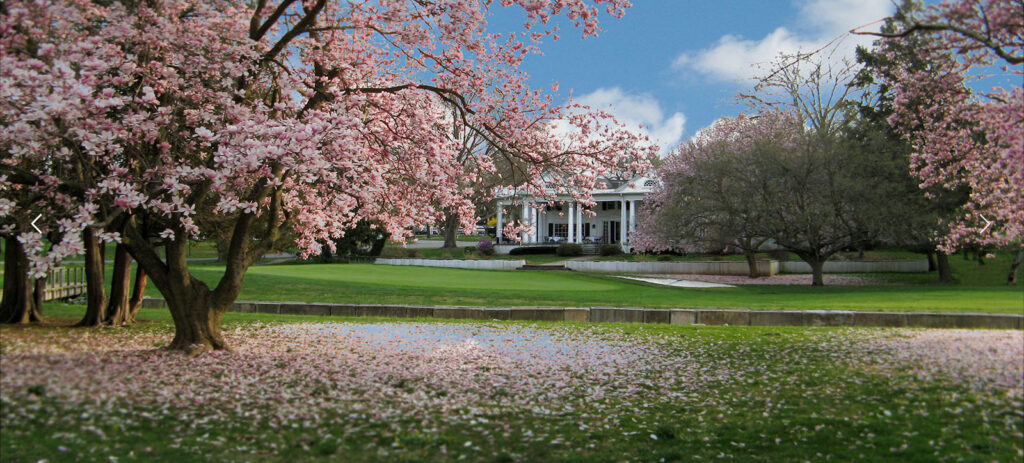 view of Glenhardie Country Club clubhouse in the spring with flower blossoms falling