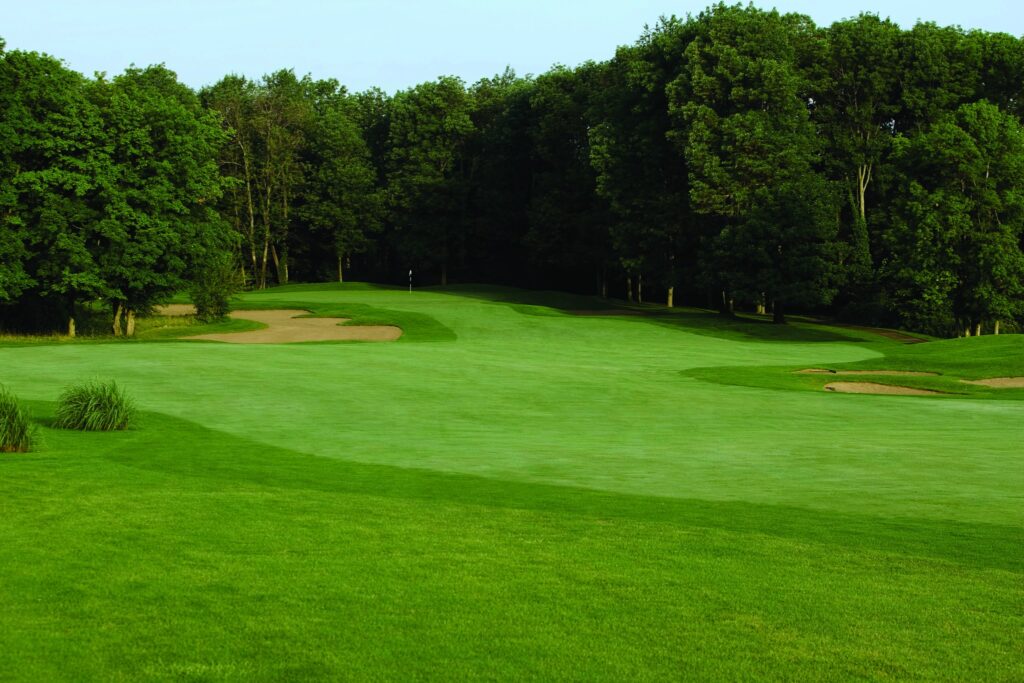 wood wind golf club green