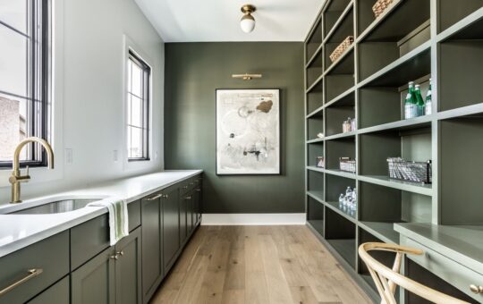 A modern pantry with olive green cabinets and open shelving, light wood flooring, a gold faucet, large windows, and abstract artwork on a green accent wall. The space is bright and neatly organized.