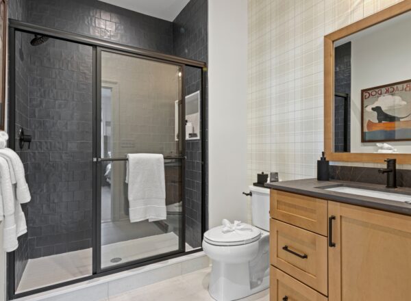 Modern bathroom with a glass-enclosed shower, black tile wall, light wood vanity with black countertop, white toilet, wall-mounted towels, and a framed dog poster on a plaid accent wall.